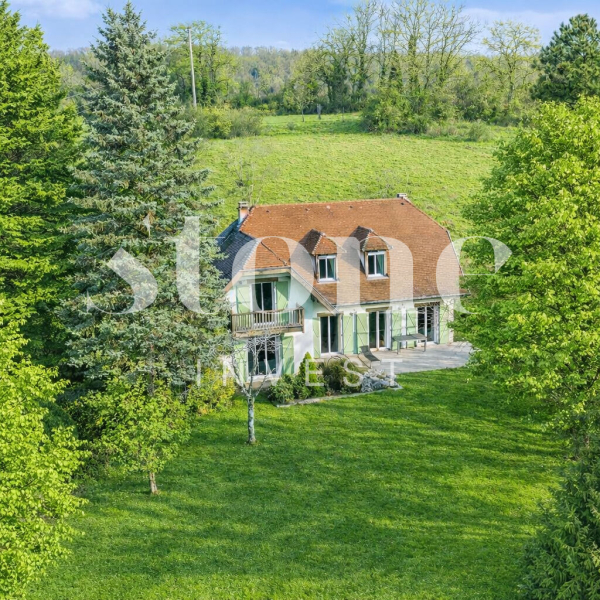 Maison à vendre - SEYNOD